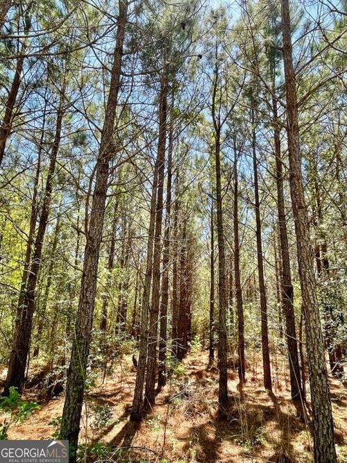 0 Harry Priddy Rd, americus, GA, 31719 | Card Image