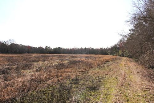 0 Corona Dr, Orangeburg, SC, 29115 | Card Image