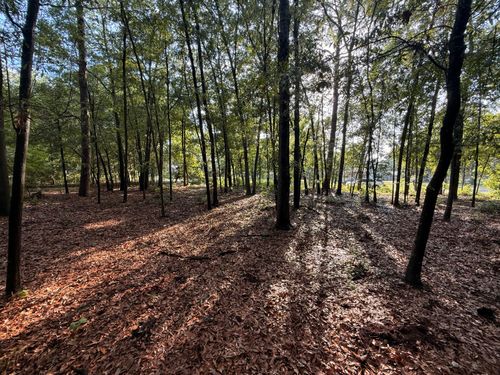100 Triangle Dr, Summerton, SC, 29148 | Card Image