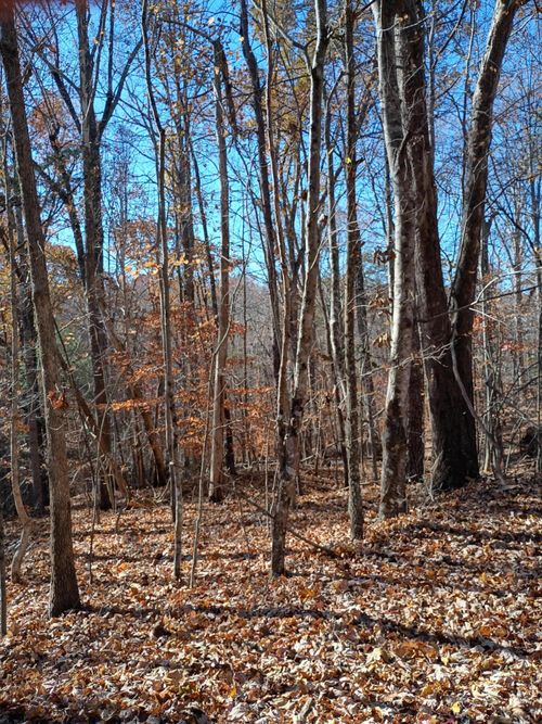 55 Old Barn Rd, Moneta, VA, 24121 | Card Image