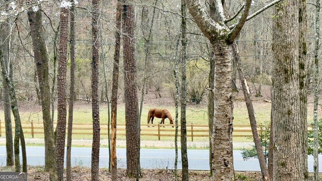 916 Sautee Trl, House other with 4 bedrooms, 3 bathrooms and null parking in Sautee Nacoochee GA | Image 33