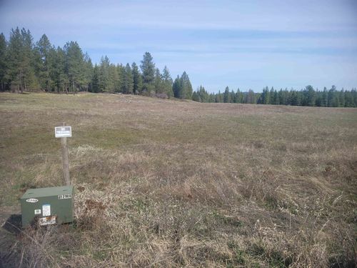 4528 Stonebrook Way, Springdale, WA, 99173-9729 | Card Image