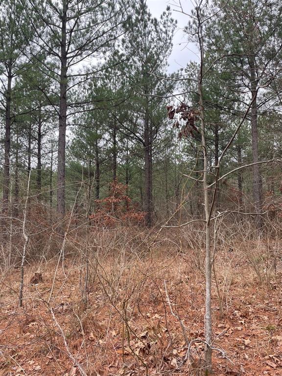 Land in Broken Bow 2