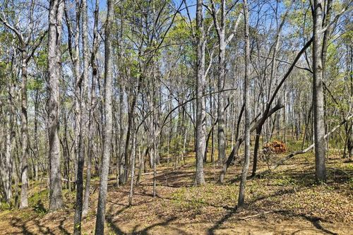 125 Heritage Plantation, Ball Ground, GA, 30107 | Card Image