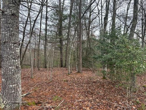 Lt 42 Lola Mae Way, Morganton, GA, 30560-1745 | Card Image