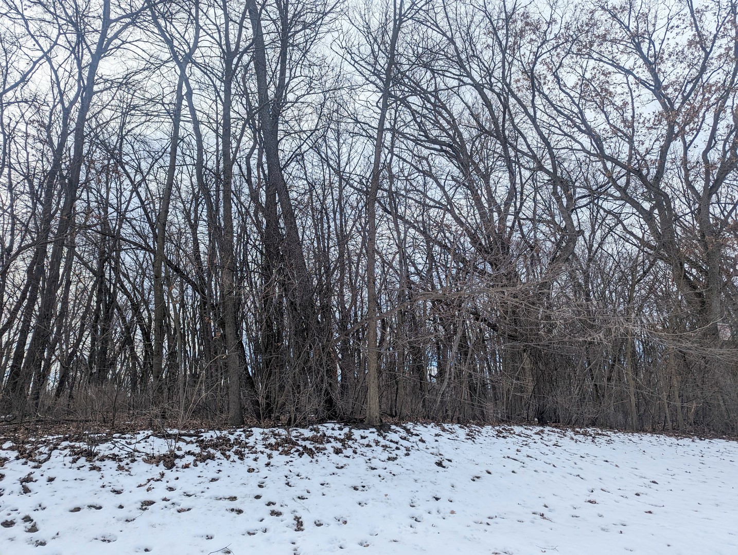 Land in Spring Grove 4