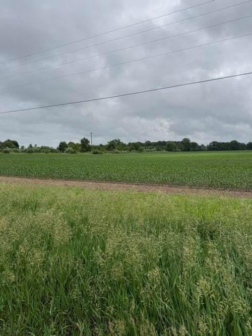 V/L Satterlee Road, Greenville, MI, 48838 | Card Image