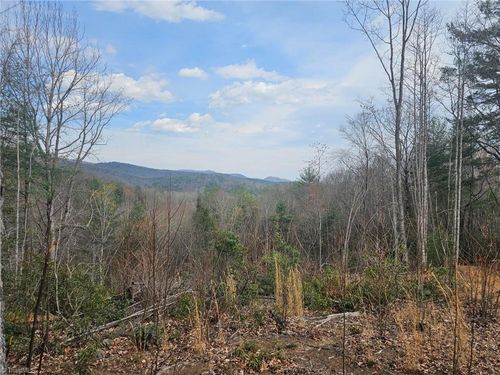 Lot 2 Widow Mountain Drive, Mcgrady, NC, 28635 | Card Image