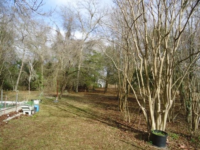 5264 N Ga Hwy 0041 North, House other with 3 bedrooms, 2 bathrooms and 4 parking in Mauk GA | Image 20