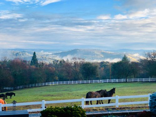 4770 Pedro Hill Rd, Pilot Hill, CA, 95664-9610 | Card Image