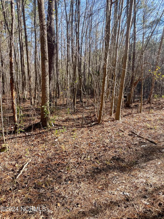 00 Sykes Town Rd, Home with 0 bedrooms, 0 bathrooms and null parking in Currie NC | Image 57