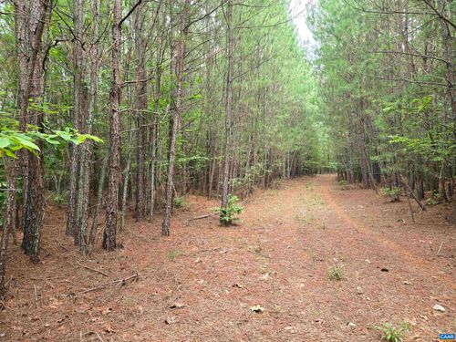 000 Mountain Cut Rd, APPOMATTOX, VA, 24522 | Card Image