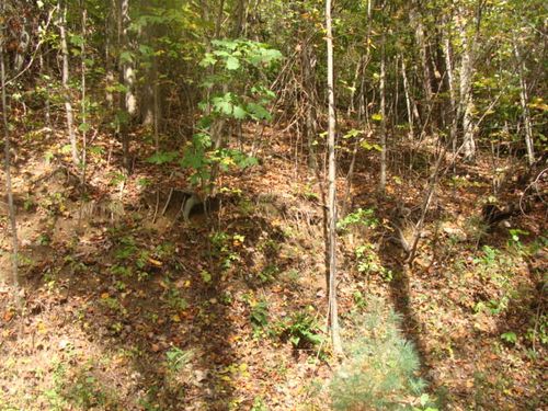 TBD Old Wagon Trail, Fancy Gap, VA, 24328 | Card Image