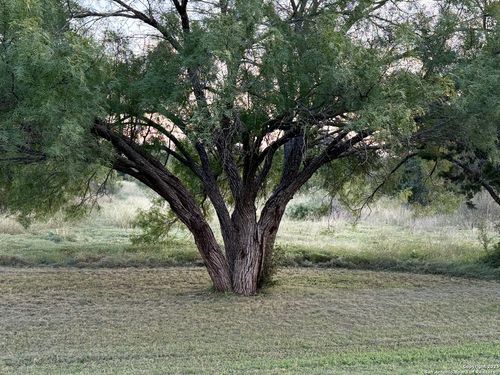 2 Cardinal Dr, Camp Wood, TX, 78833 | Card Image