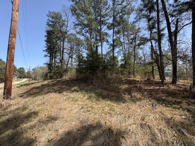 312 Waterview Dr, Home with 0 bedrooms, 0 bathrooms and null parking in Trinity TX | Image 5