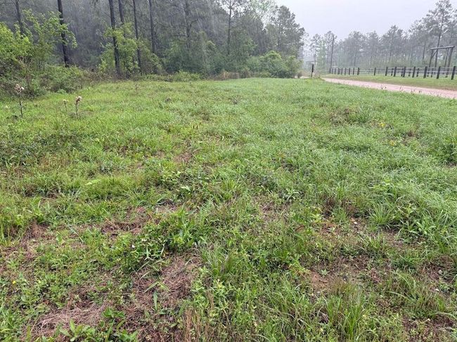 0 Richardson Rd E, Home with 0 bedrooms, 0 bathrooms and null parking in Livingston TX | Image 31
