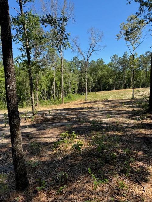619 Lakeside Dr, Carriere, MS, 39426-7037 | Card Image