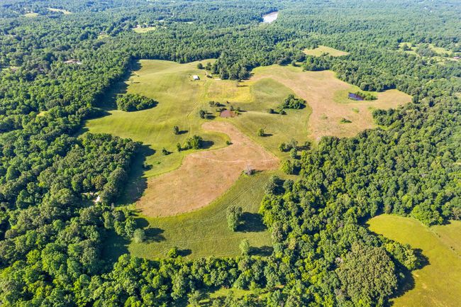 0 Happy Hills Acre Rd, Home with 0 bedrooms, 0 bathrooms and null parking in Woodlawn TN | Image 13