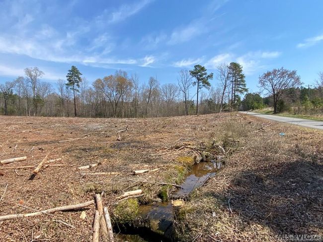 32.49 Ac Chalk Level Rd, Home with 0 bedrooms, 0 bathrooms and null parking in Alberta VA | Image 4