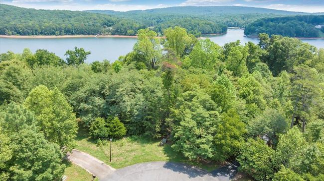 08-DJI_20240809112908_0005_D_MIB | Image 8
