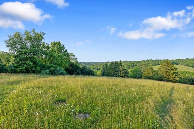 1649 Mudlick Rd, Home with 0 bedrooms, 0 bathrooms and null parking in Cynthiana KY | Image 7