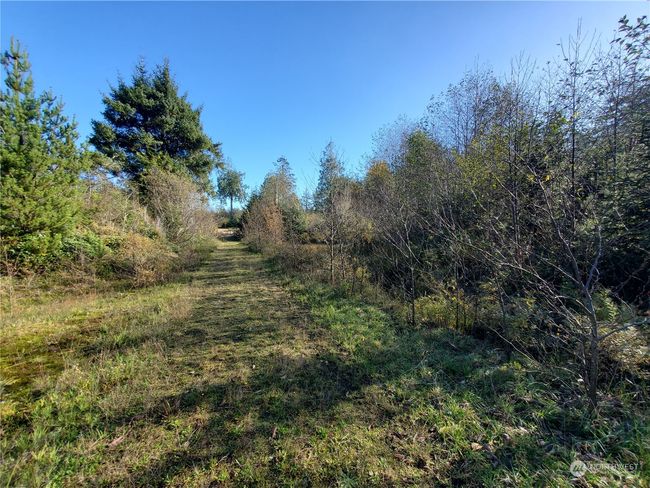 36602 Stackpole Rd, Home with 0 bedrooms, 0 bathrooms and null parking in Oysterville WA | Image 7
