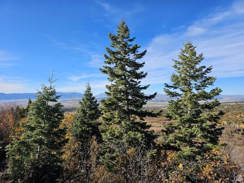 17 Pine Creek Dr, Mount Pleasant, UT, 84647 | Card Image