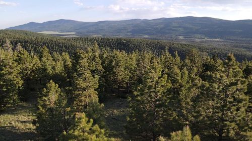130 Beaver Loop, Angel Fire, NM, 87710 | Card Image