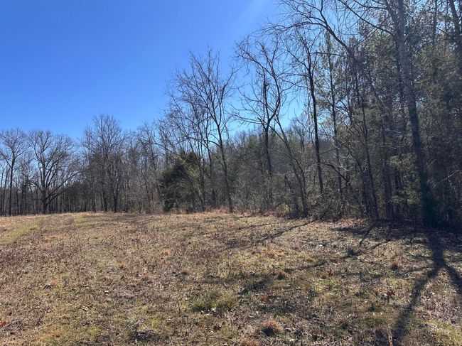 265 - 24265 S Mohawk Rd, Home with 0 bedrooms, 0 bathrooms and null parking in Mohawk TN | Image 37