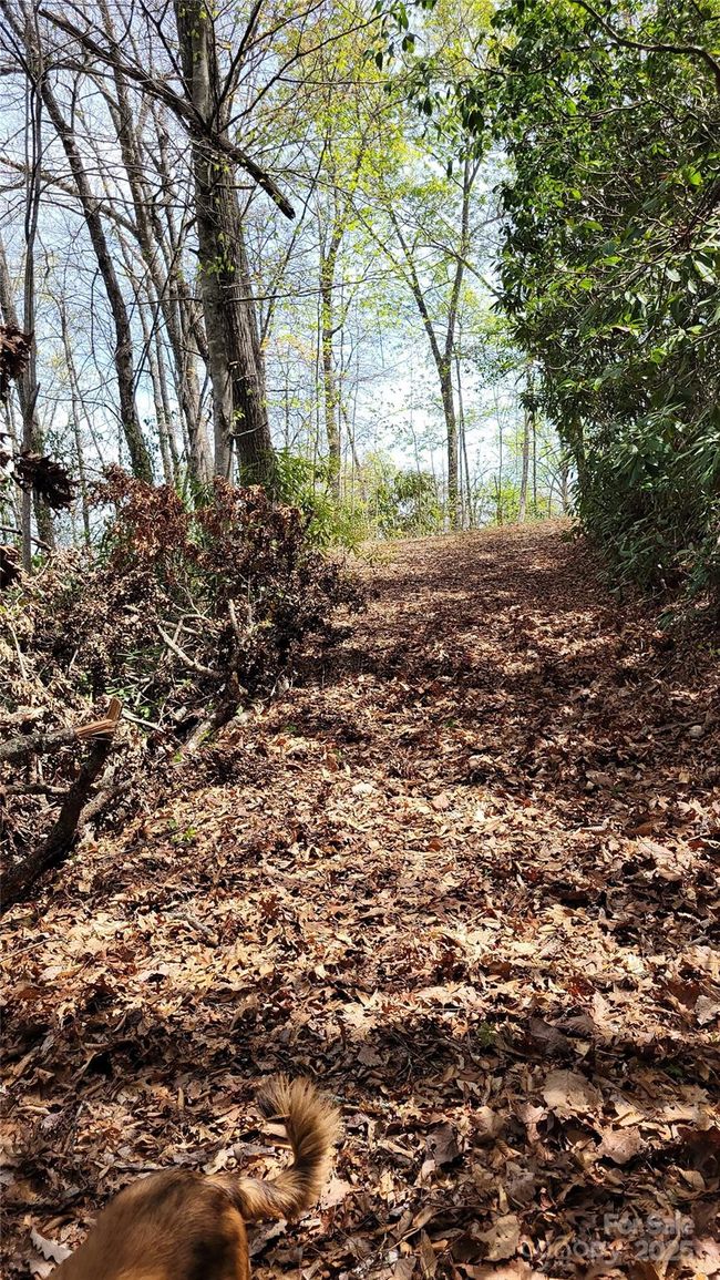 27 - 27 Lacy Fern Rdg, Home with 0 bedrooms, 0 bathrooms and null parking in Sylva NC | Image 24