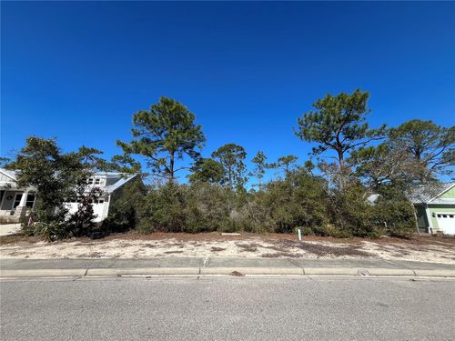 394 Royal Tern Way, Carrabelle, FL, 32322 | Card Image