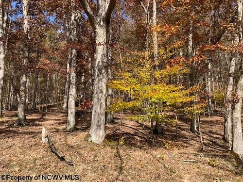 TBD Holly Meadows Rd, Parsons, WV, 26287 | Card Image