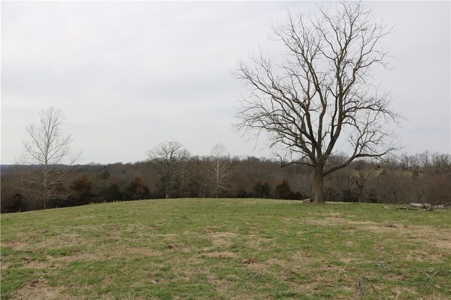 57 Sugar Creek Road, Home with 0 bedrooms, 0 bathrooms and null parking in Washburn MO | Image 14