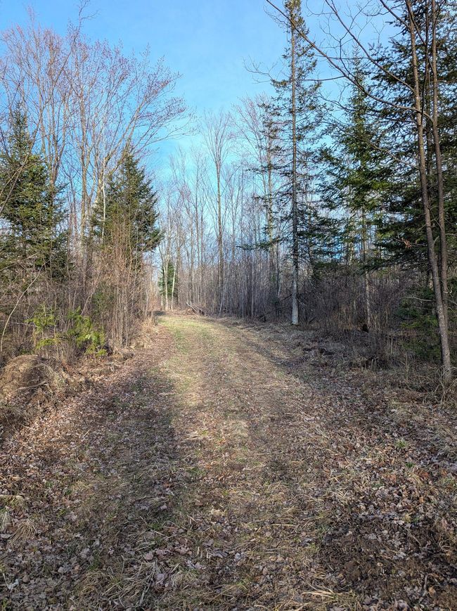 00 Cth X, Home with 0 bedrooms, 0 bathrooms and null parking in PRENTICE WI | Image 18