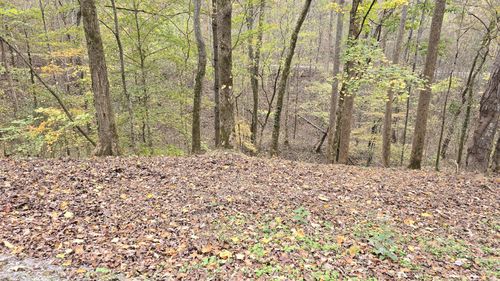 116 Lakeview Dr, Smithville, TN, 37166 | Card Image