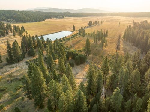 465577 Elysian Valley Rd, Janesville, CA, 96114-9666 | Card Image