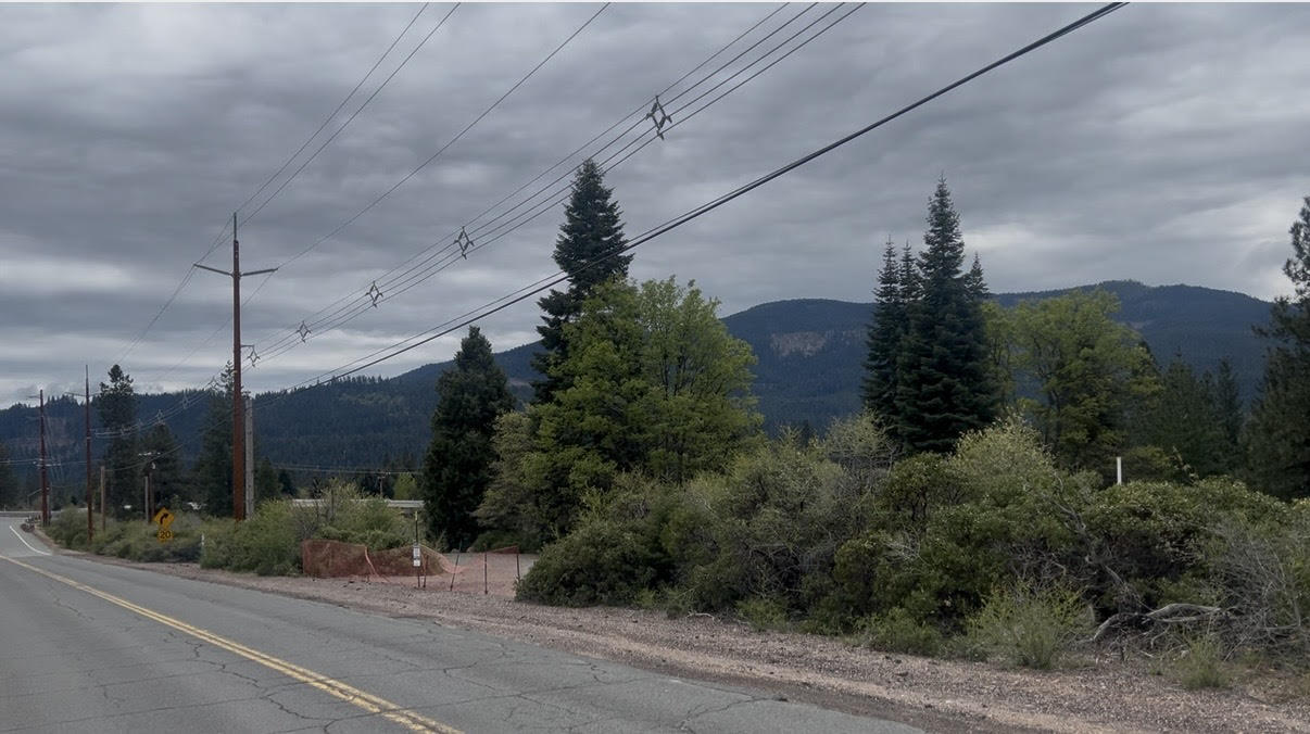 Land in Mount Shasta 2