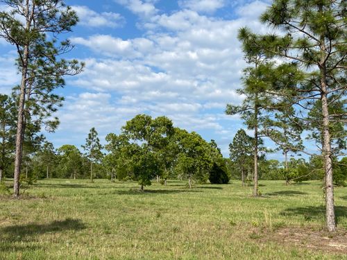 1612 Bethcar Church Rd, Wagener, SC, 29164 | Card Image