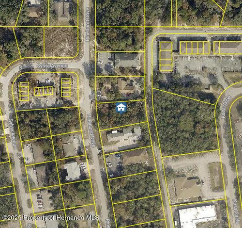 8 Pinehurst Dr, SPRING HILL, FL, 34606 | Card Image