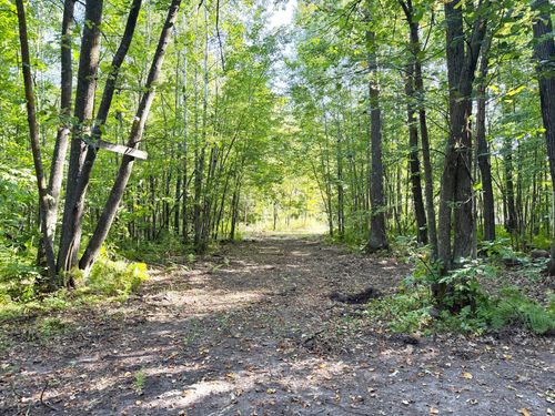 TBD-PARCEL C County Rd 23, Brainerd, MN, 56401 | Card Image