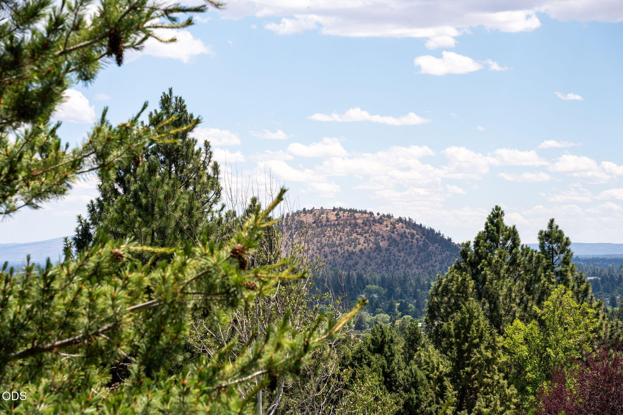 Residential in Bend 2