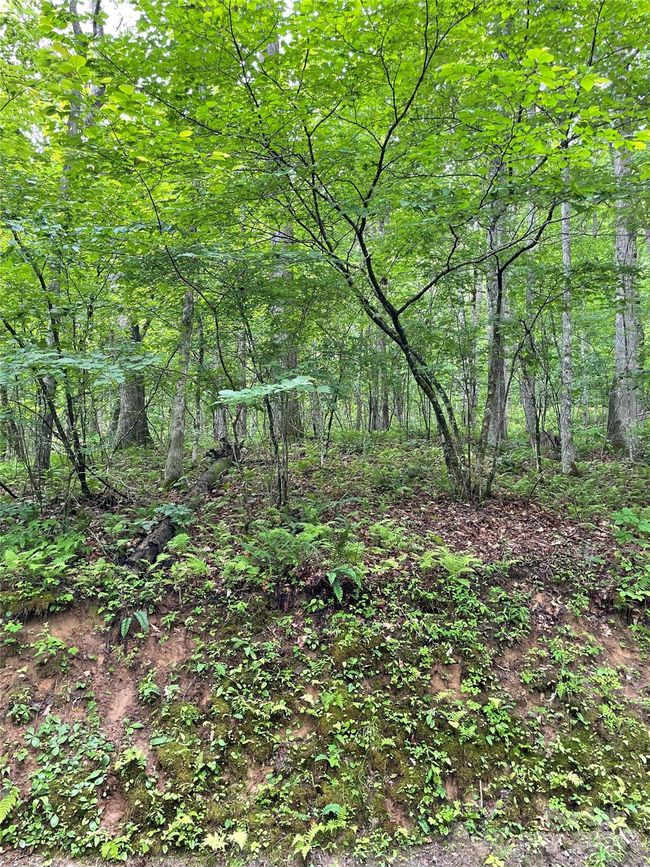 25 - 25 Rainbow Trout Dr, Home with 0 bedrooms, 0 bathrooms and null parking in Tuckasegee NC | Image 4