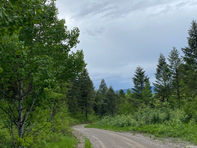 View of street | Image 77