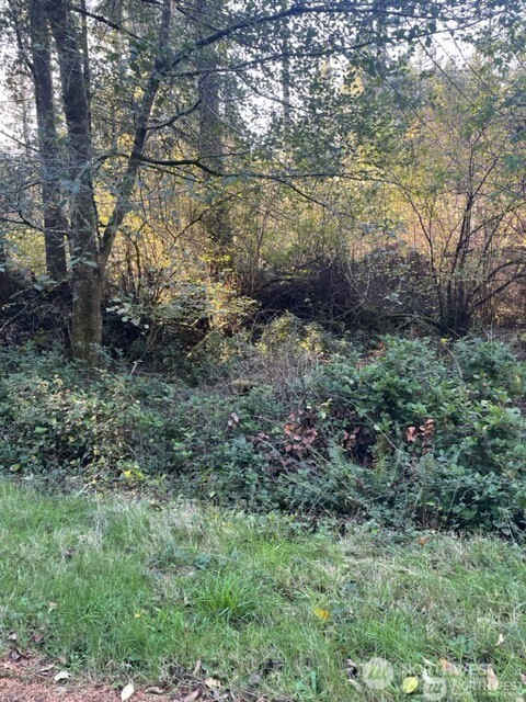 Land in Anderson Island 3