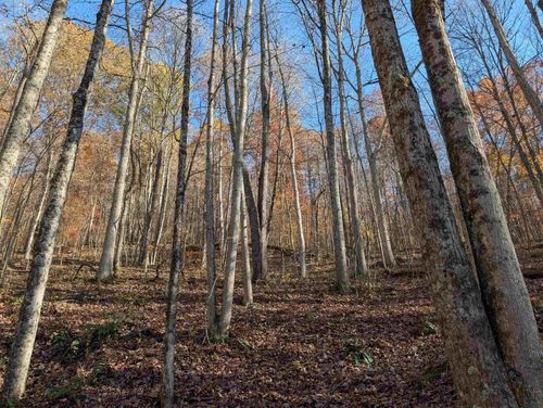 TBD Brush Run Rd, Mannington, WV, 26582 | Card Image