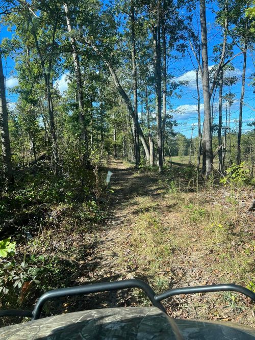 2 Just A Mere Ln, Morehead, KY, 40351-9345 | Card Image