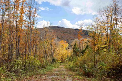 00 Center Pond Rd, West Burke, VT, 05871 | Card Image