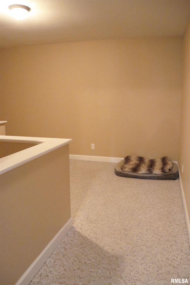 1112 W Cedar Hills Dr, House other with 5 bedrooms, 6 bathrooms and null parking in Dunlap IL | Image 67