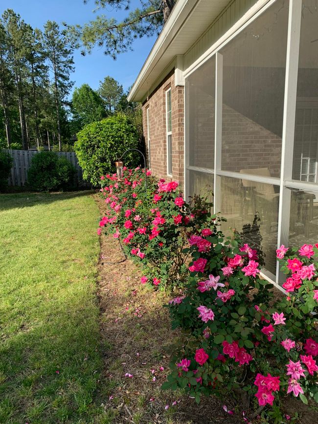 3046 Tarleton Ct, House other with 4 bedrooms, 3 bathrooms and null parking in Beech Island SC | Image 4