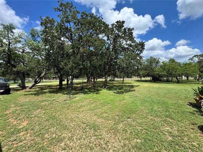 View of grassy yard | Image 6